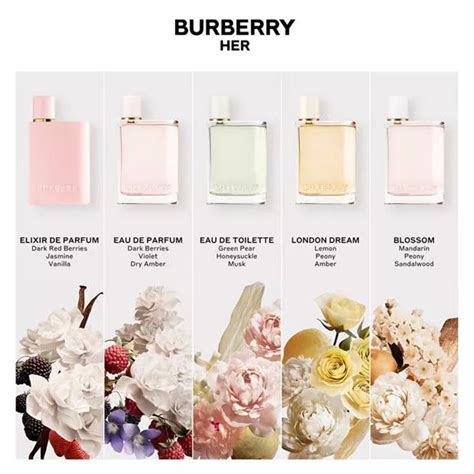 burberry perfume notes|which burberry scents smells best.